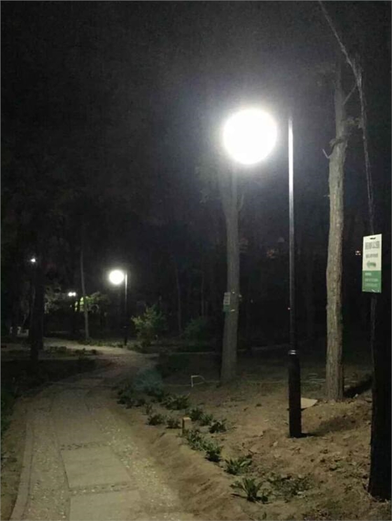 庭院灯案例