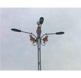 【led路灯案例】广东省揭阳市道路亮化工程
