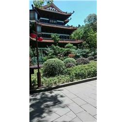 广东揭阳50套led庭院灯如期安装完成！